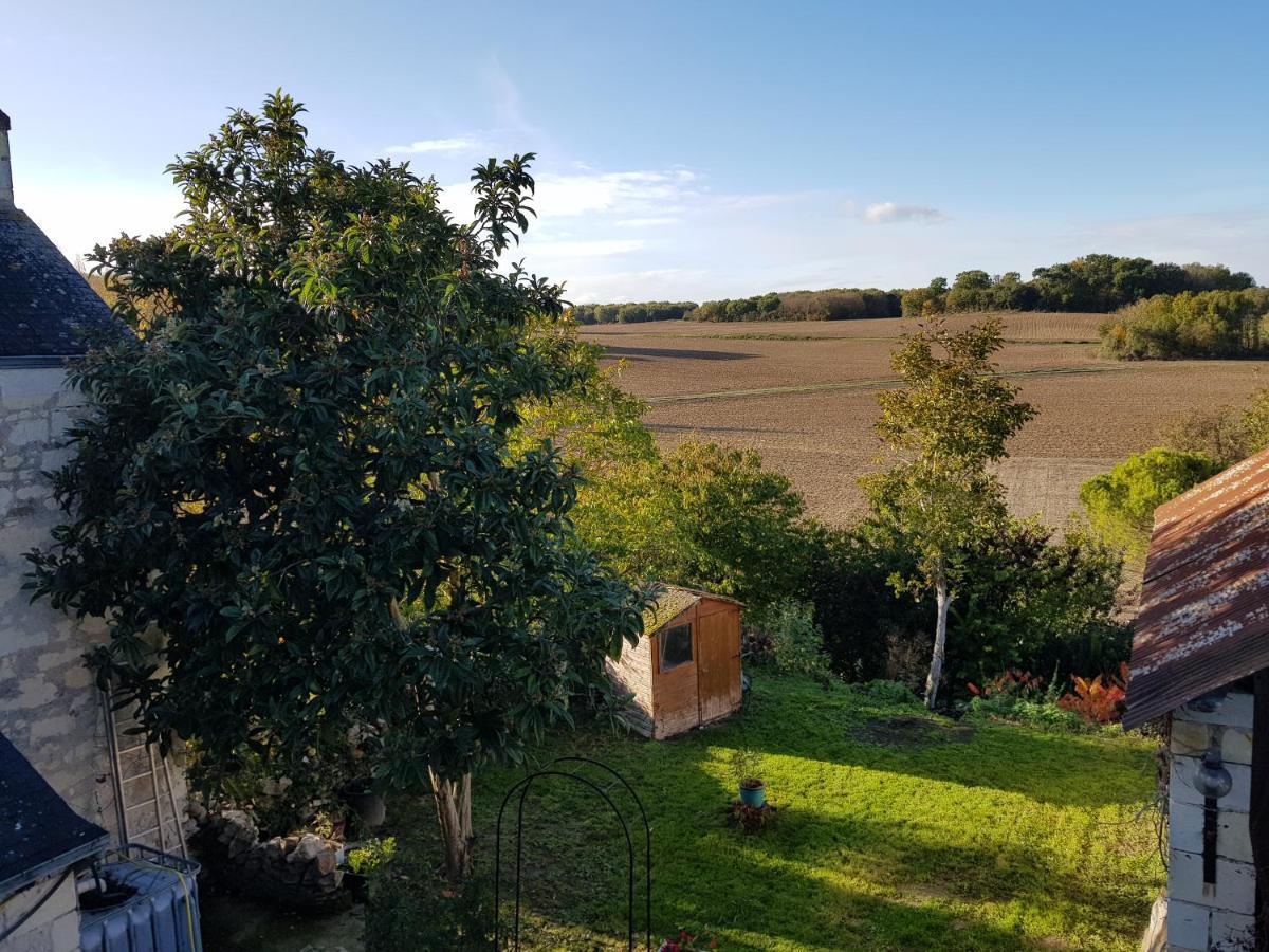 Maison De Vacances La Haute Cormerie Le Thoureil Kültér fotó